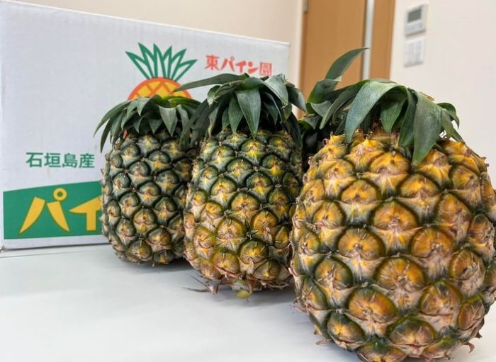 「石垣島産 完熟パイナップル」🍍